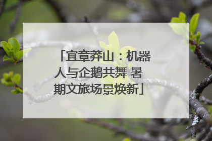 宜章莽山：机器人与企鹅共舞 暑期文旅场景焕新