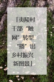 夷陵村干部“触网”转型“播”出乡村振兴新图景