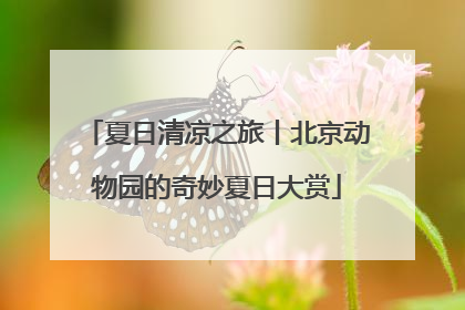 夏日清凉之旅丨北京动物园的奇妙夏日大赏