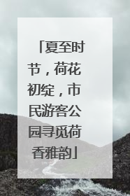 夏至时节，荷花初绽，市民游客公园寻觅荷香雅韵