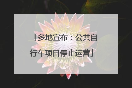 多地宣布：公共自行车项目停止运营