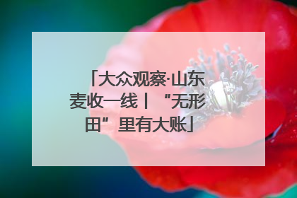 大众观察·山东麦收一线丨“无形田”里有大账