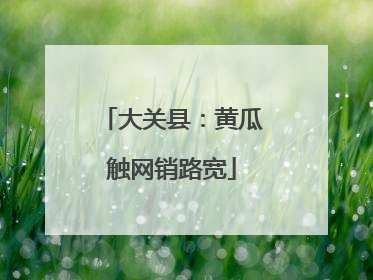 大关县：黄瓜触网销路宽
