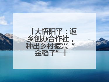 大悟阳平：返乡创办合作社，种出乡村振兴“金稻子”