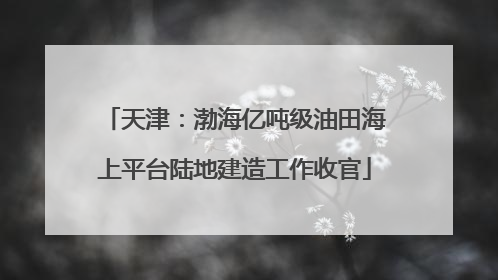 天津：渤海亿吨级油田海上平台陆地建造工作收官