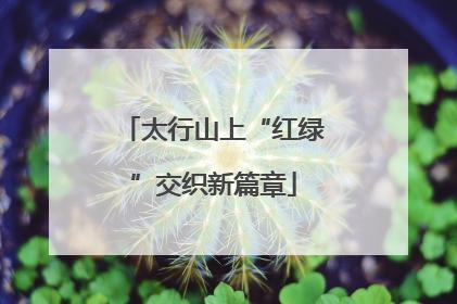 太行山上“红绿”交织新篇章