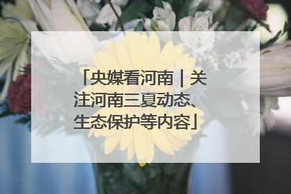 央媒看河南｜关注河南三夏动态、生态保护等内容