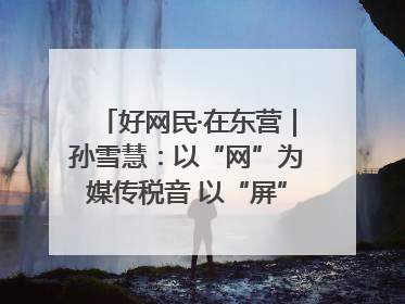 好网民·在东营｜孙雪慧：以“网”为媒传税音 以“屏”为介助发展