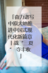 奋力谱写中原大地推进中国式现代化新篇章丨战“三夏” 夺丰收