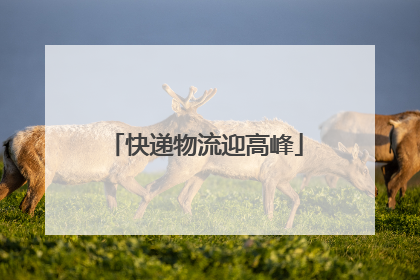快递物流迎高峰