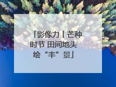 影像力丨芒种时节 田间地头绘“丰”景