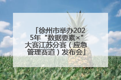 徐州市举办2025年“数据要素×”大赛江苏分赛（应急管理赛道）发布会
