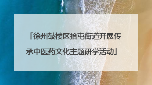 徐州鼓楼区拾屯街道开展传承中医药文化主题研学活动