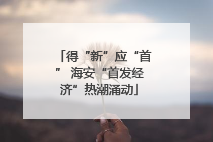 得“新”应“首” 海安“首发经济”热潮涌动