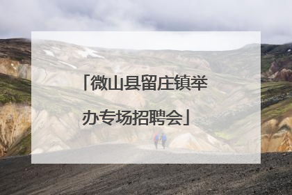 微山县留庄镇举办专场招聘会