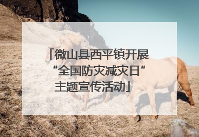 微山县西平镇开展“全国防灾减灾日”主题宣传活动