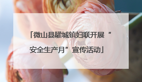 微山县驩城镇妇联开展“安全生产月”宣传活动