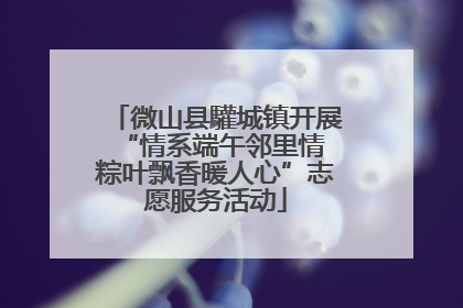 微山县驩城镇开展“情系端午邻里情 粽叶飘香暖人心”志愿服务活动