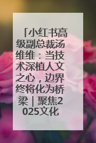 小红书高级副总裁汤维维：当技术深植人文之心，边界终将化为桥梁｜聚焦2025文化强国建设高峰论坛