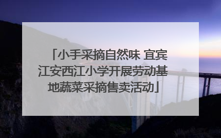 小手采摘自然味 宜宾江安西江小学开展劳动基地蔬菜采摘售卖活动
