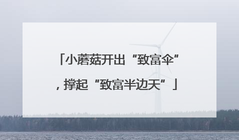 小蘑菇开出“致富伞”，撑起“致富半边天”