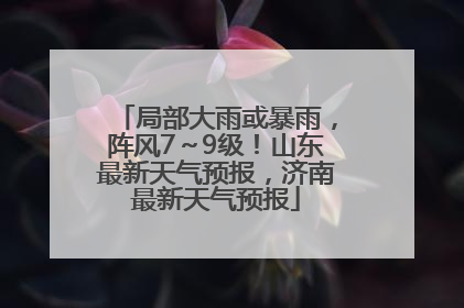 局部大雨或暴雨，阵风7～9级！山东最新天气预报，济南最新天气预报