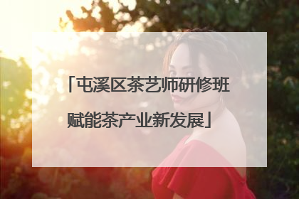 屯溪区茶艺师研修班赋能茶产业新发展
