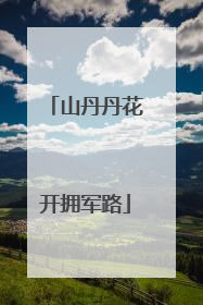 山丹丹花开拥军路