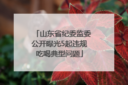 山东省纪委监委公开曝光5起违规吃喝典型问题