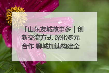 山东友城故事多｜创新交流方式 深化多元合作 聊城加速构建全球友城新格局