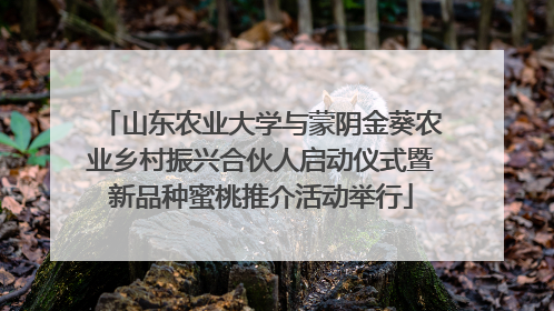山东农业大学与蒙阴金葵农业乡村振兴合伙人启动仪式暨新品种蜜桃推介活动举行