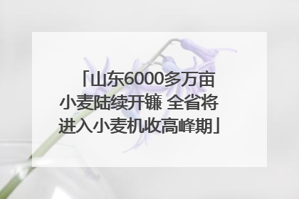 山东6000多万亩小麦陆续开镰 全省将进入小麦机收高峰期