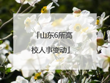 山东6所高校人事变动