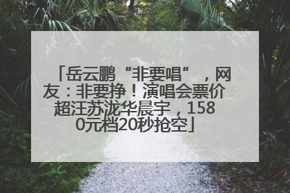 岳云鹏“非要唱”，网友：非要挣！演唱会票价超汪苏泷华晨宇，1580元档20秒抢空