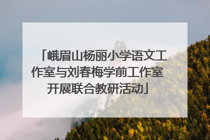 峨眉山杨丽小学语文工作室与刘春梅学前工作室开展联合教研活动