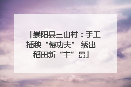 崇阳县三山村：手工插秧“慢功夫” 绣出稻田新“丰”景