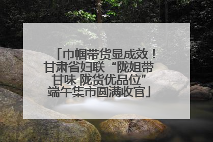 巾帼带货显成效！甘肃省妇联“陇姐带甘味 陇货优品位”端午集市圆满收官