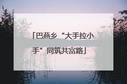 巴燕乡“大手拉小手”同筑共富路
