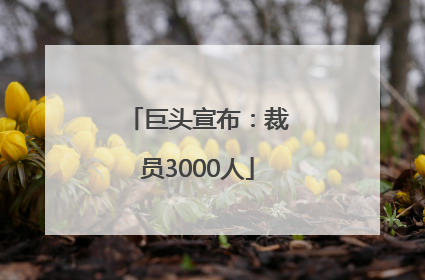 巨头宣布：裁员3000人