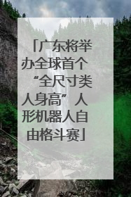 广东将举办全球首个“全尺寸类人身高”人形机器人自由格斗赛