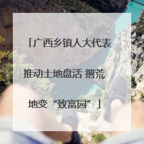 广西乡镇人大代表推动土地盘活 撂荒地变“致富园”