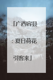 广西容县：夏日荷花引客来