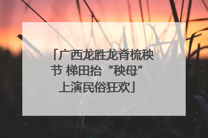 广西龙胜龙脊梳秧节 梯田抬“秧母”上演民俗狂欢