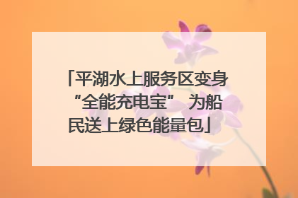 平湖水上服务区变身“全能充电宝” 为船民送上绿色能量包