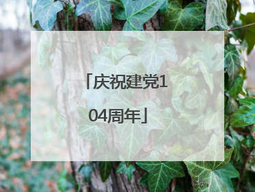庆祝建党104周年