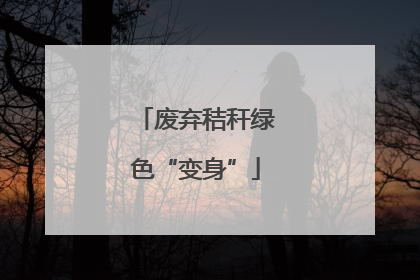 废弃秸秆绿色“变身”