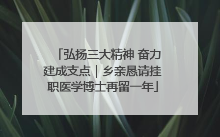 弘扬三大精神 奋力建成支点｜乡亲恳请挂职医学博士再留一年