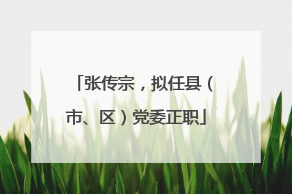 张传宗，拟任县（市、区）党委正职