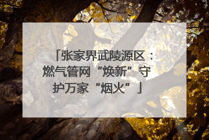张家界武陵源区：燃气管网“焕新”守护万家“烟火”