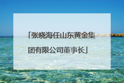 张晓海任山东黄金集团有限公司董事长